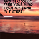 Overwhelmed and Stressed? Free Your Mind From the Funk in 5 Steps!
