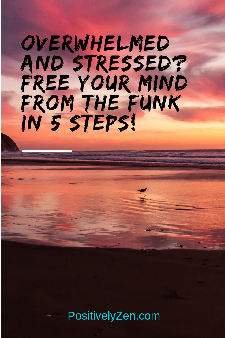 Overwhelmed and Stressed? Free Your Mind From The Funk in Five Steps!